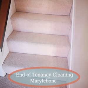 carpet cleaning marylebone