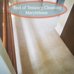 carpet cleaning services marylebone